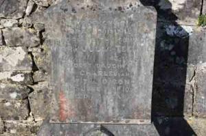 Teeling Mary Julia Clonalis